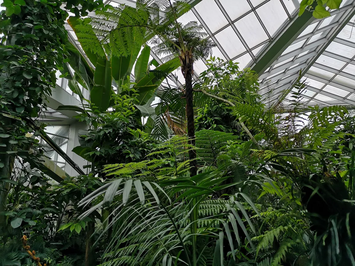 Tropicarium