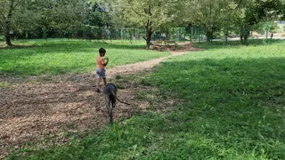 Pasji park Ptuj