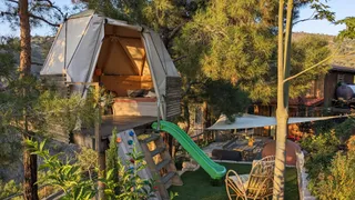 Pine Forest House