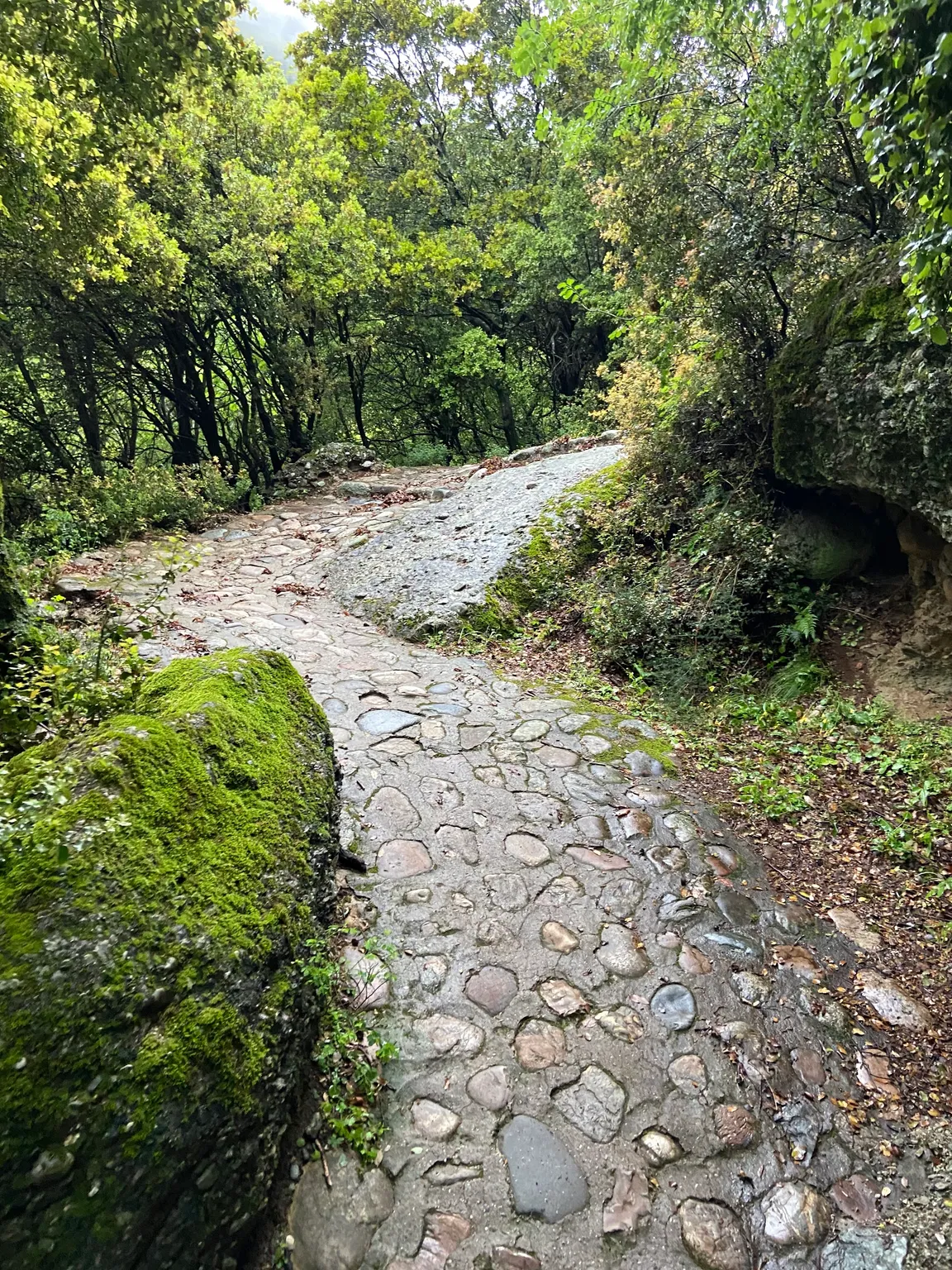 Ascent trail to Holy Trinity Monastery