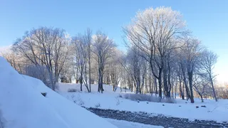 Rannamägi