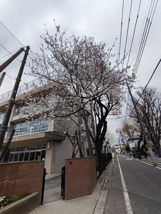 松山憩いの森