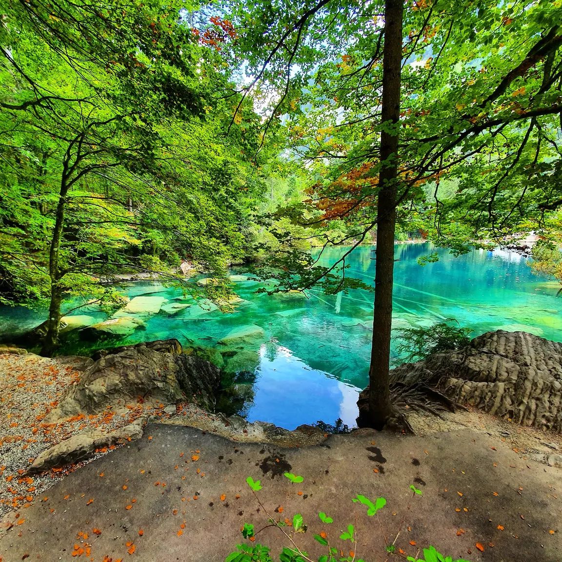 Naturpark Blausee