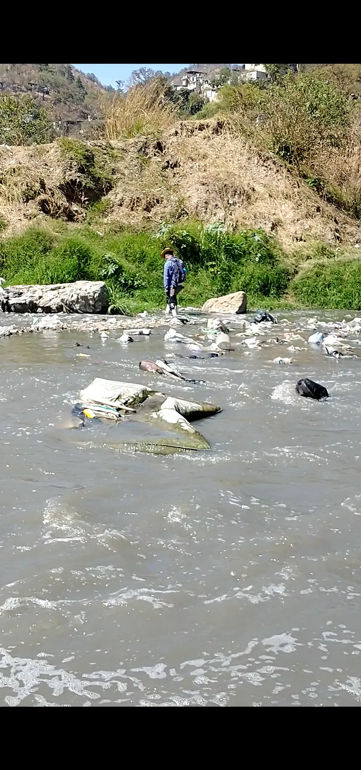Río negro / las vacas