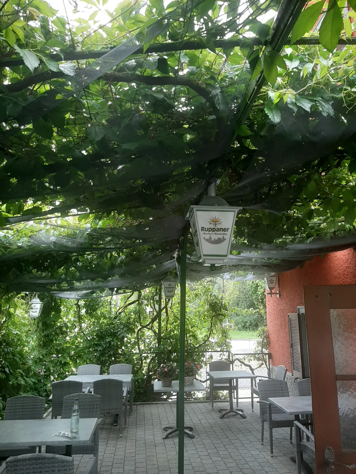 Papageno zur Schweizer Grenze