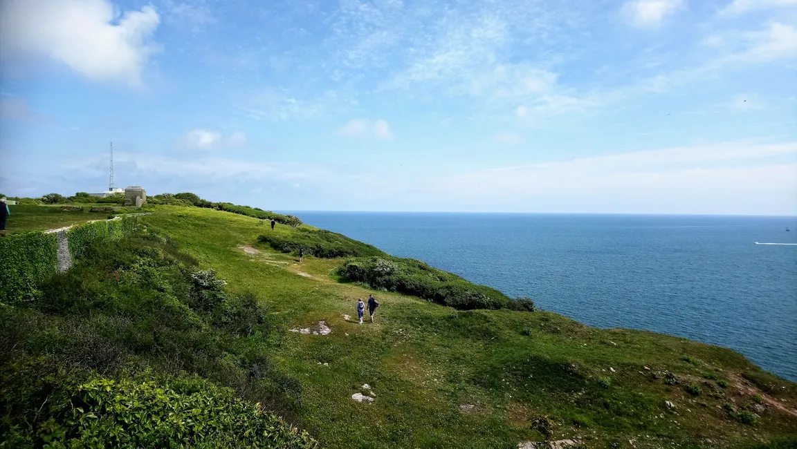 South Devon National Landscape