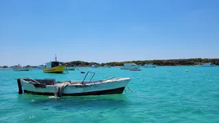 Isola dei conigli