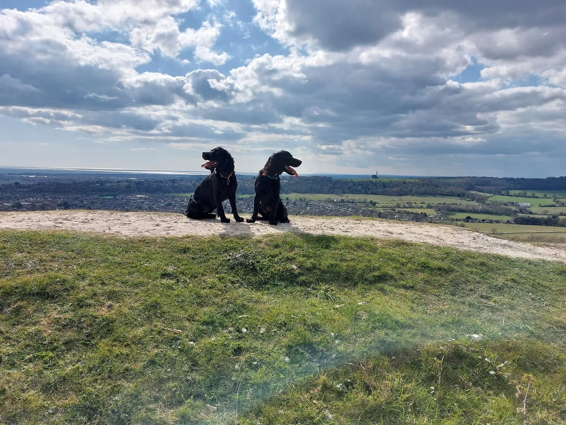 National Trust - Cissbury Ring
