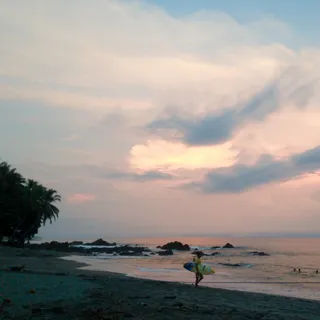 High tide surf school