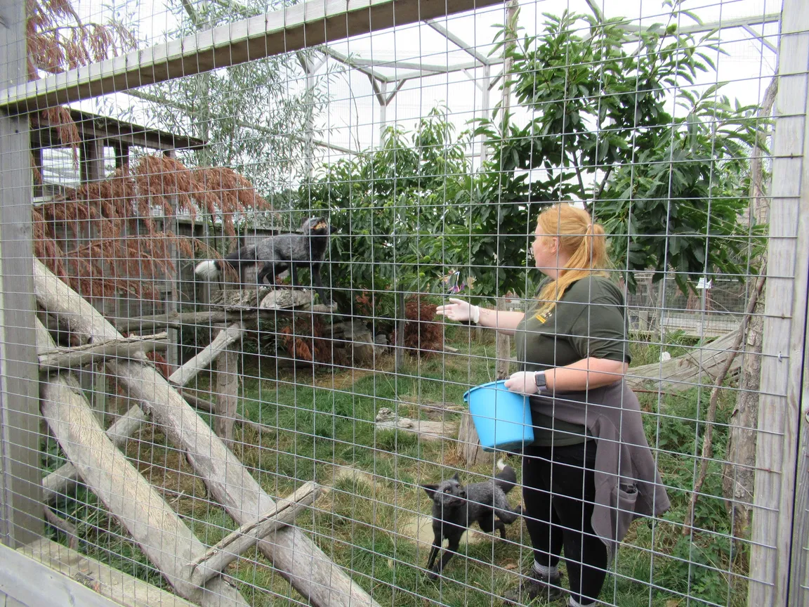 Hogshaw Farm & Wildlife Park