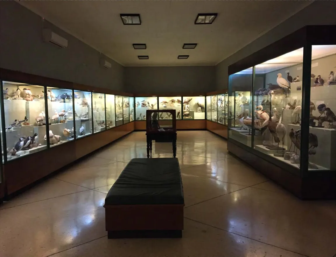 National Museum Of Natural History