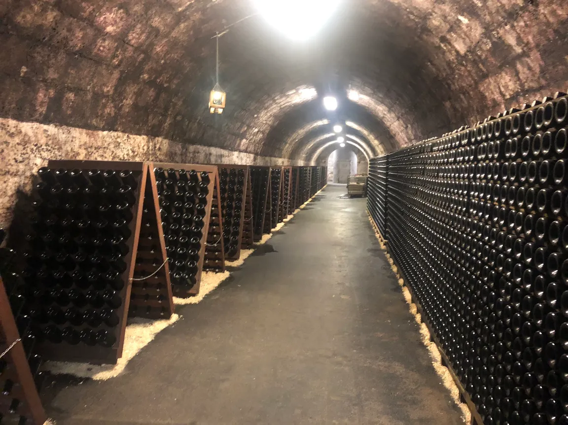 Törley Sparkling Wine Cellar