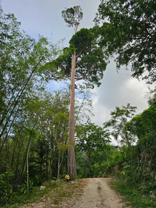 Kamala Bay View hiking area