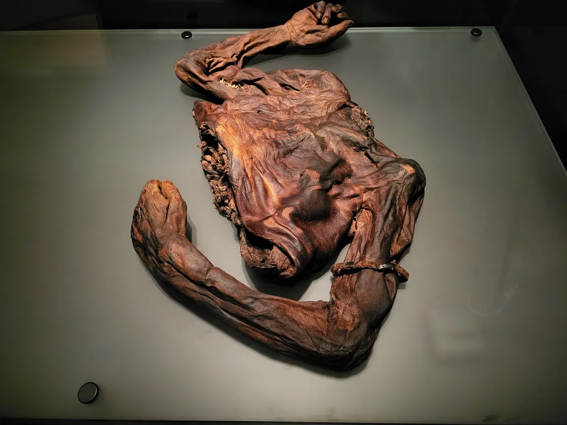 National Museum of Ireland - Archaeology