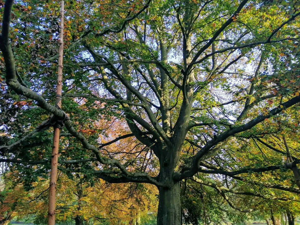 Łagowsko-Sulęciński Park Krajobrazowy