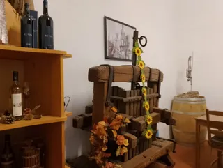 Cantina Bailoni sas