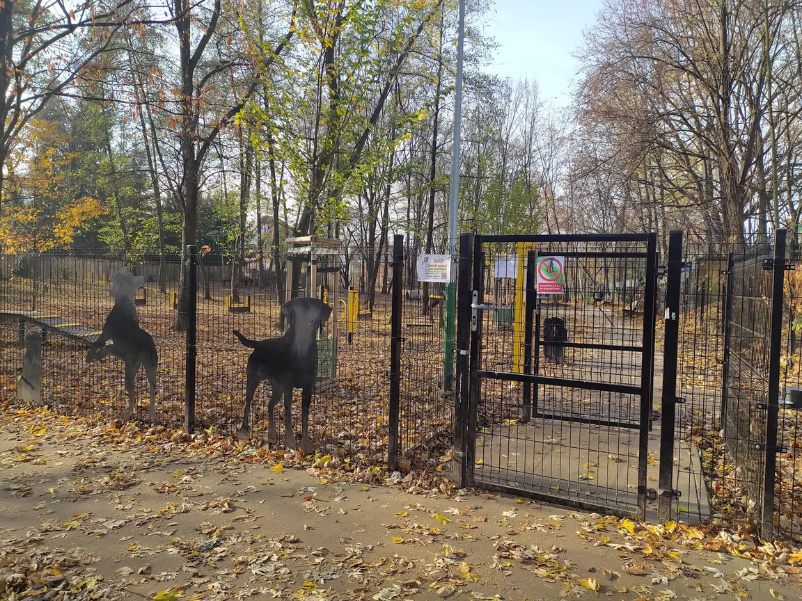Wybieg dla Psów