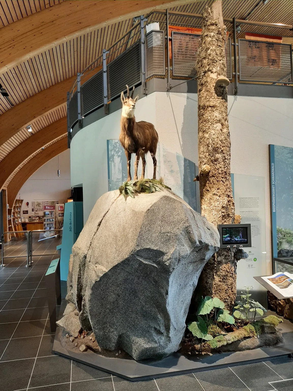 House of Nature Feldberg