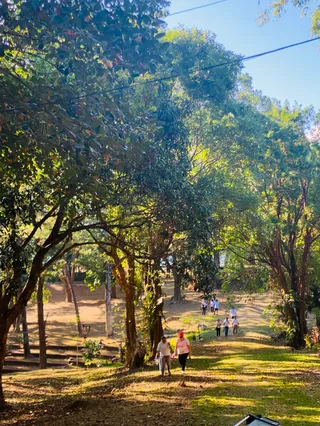 Tanay EPIC PARC Rainforest Camp