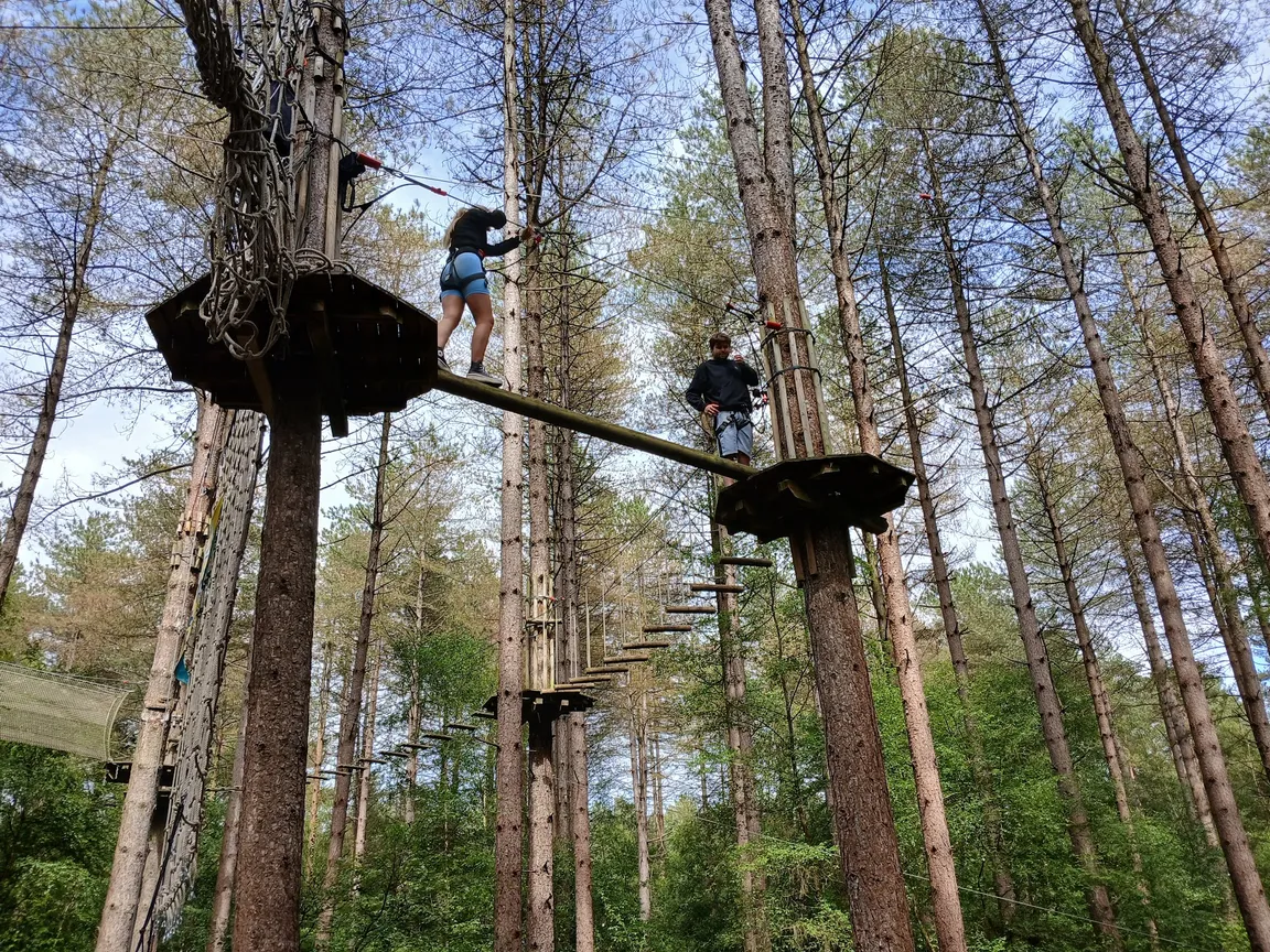 Moors Valley Country Park & Forest