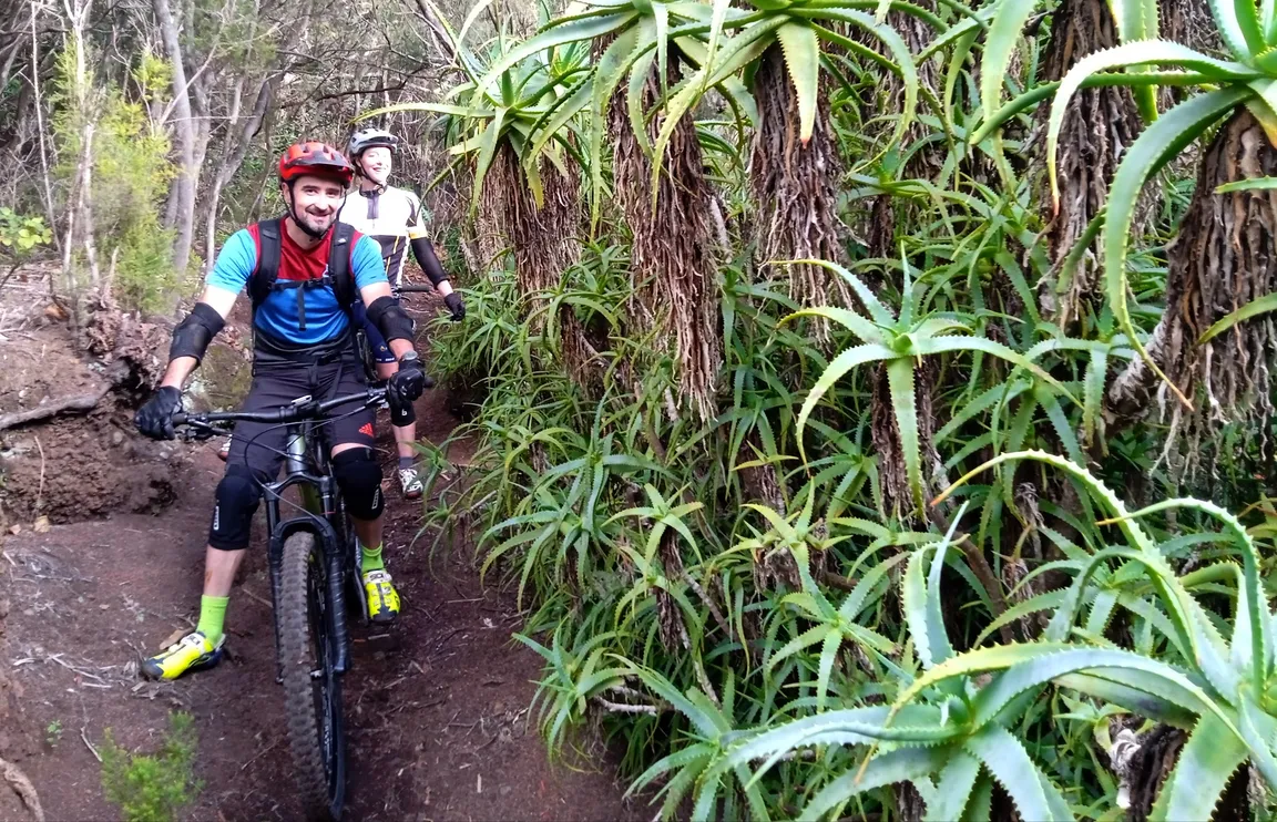 Fabulous Mtb