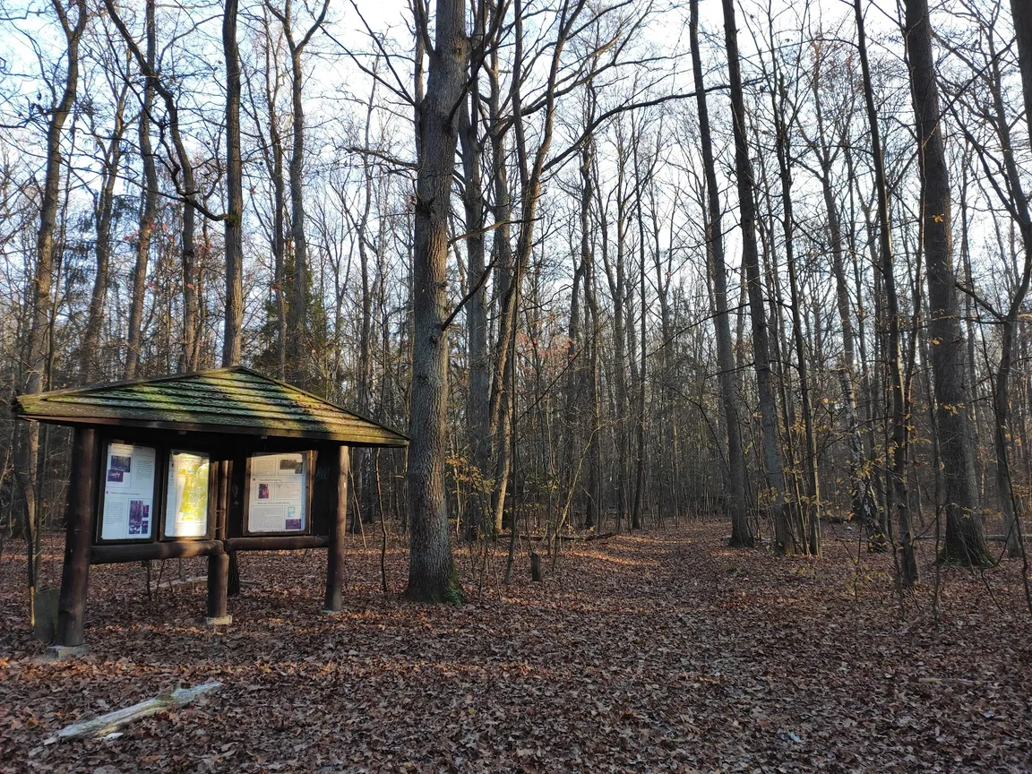 Rezerwat Przyrody Las Łagiewnicki