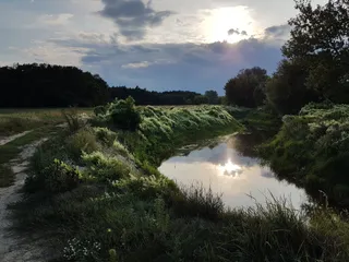 Ujście Kanału Mosińskiego