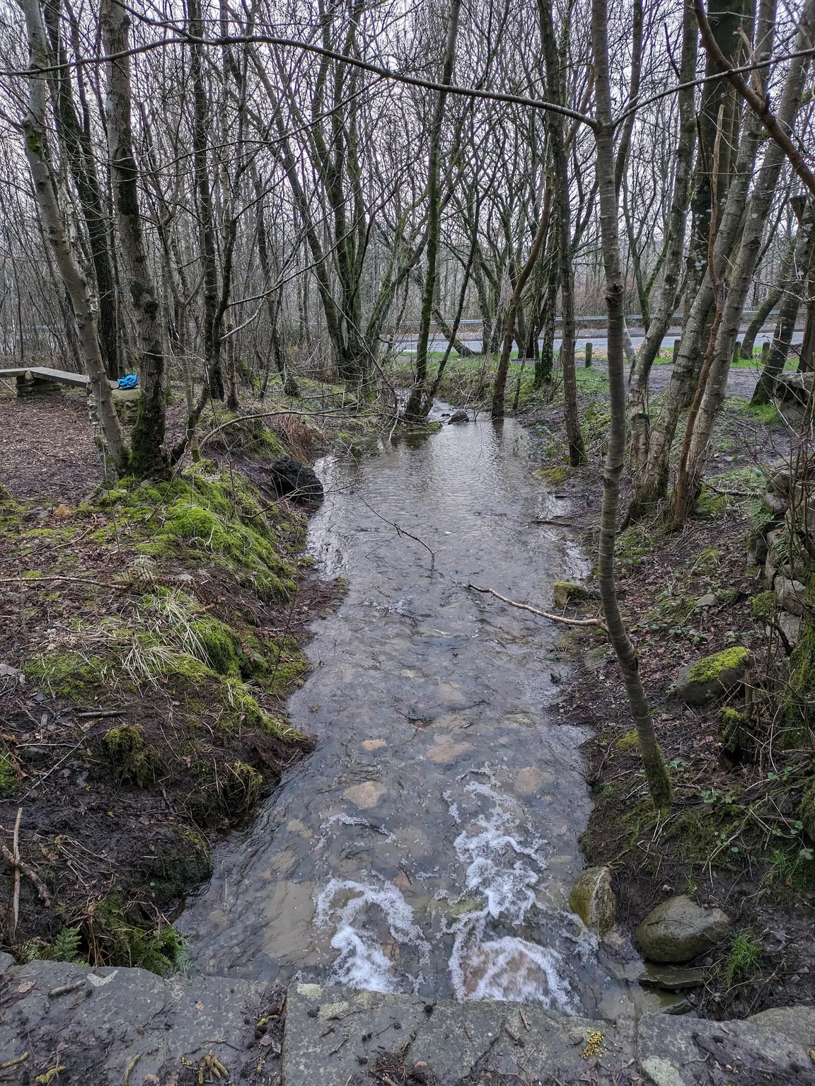 Kilvey Hill Trail