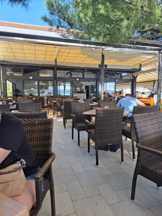 Monty's Dog Beach & Bar