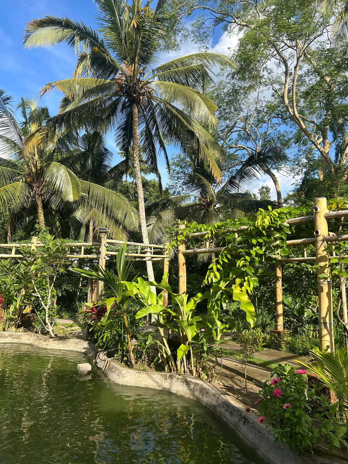 Bali Eco Farm ( Eco Activities | Family Friendly Activities | Outdoor Relaxation)