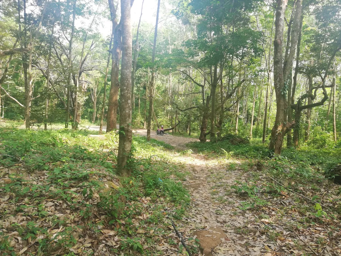 Khiri Phet Waterfall