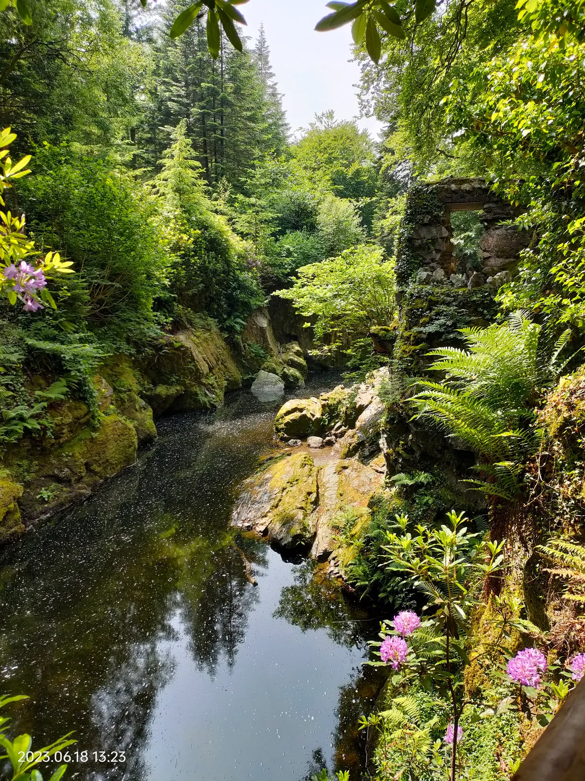 Tollymore Forest Park