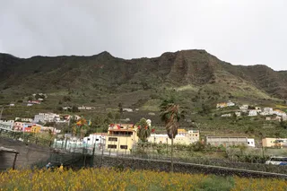 Finca Canarias Aloe Vera Hermigua La Gomera