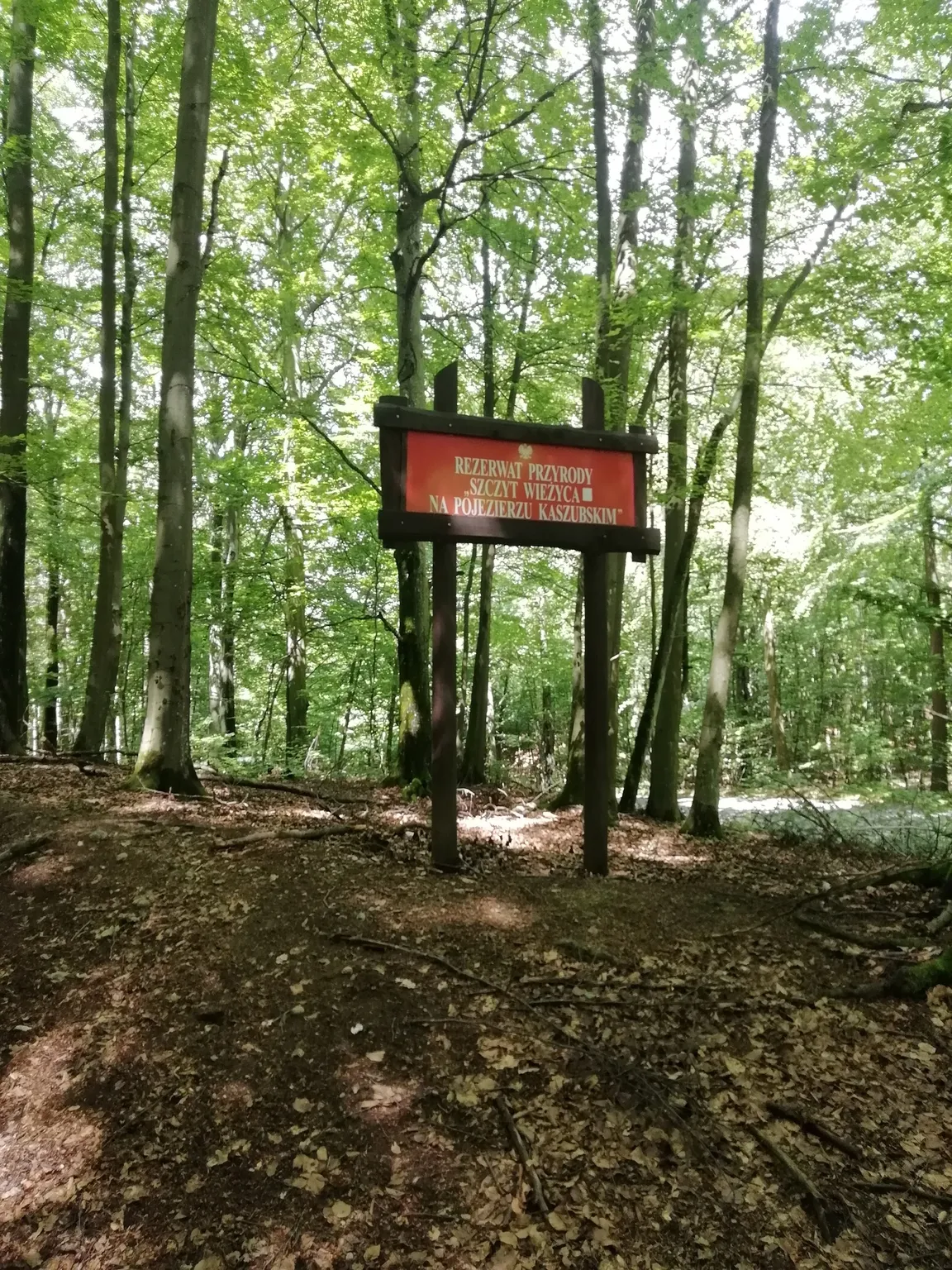 Rezerwat przyrody Szczyt Wieżyca