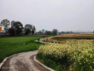 Sansheng Flower Village