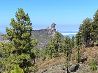Llano del Salado
