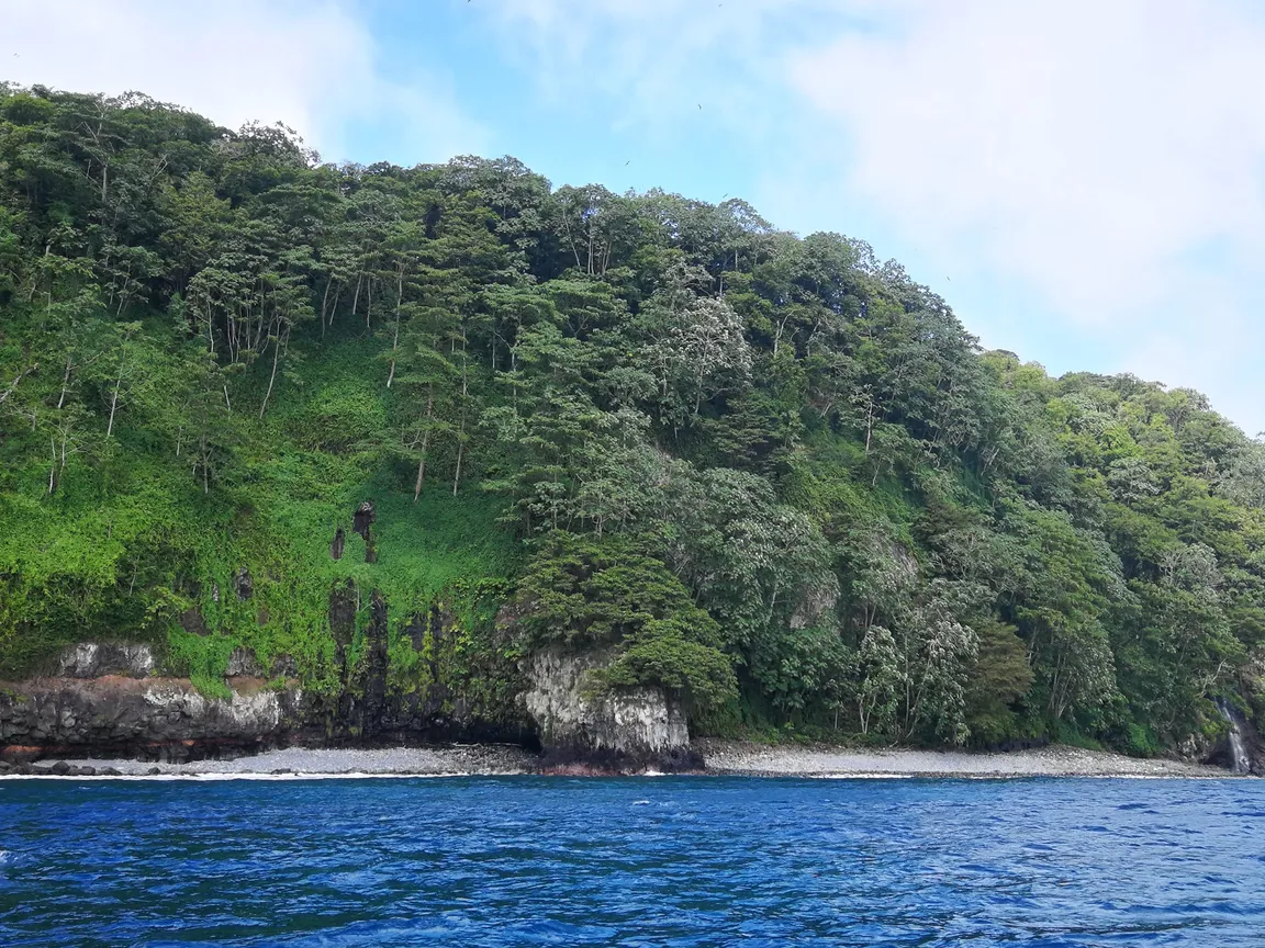 Cocos Island National Park Costa Rica