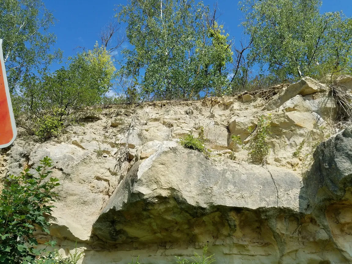 GeoPfad Weisenau Zugang Höhenweg