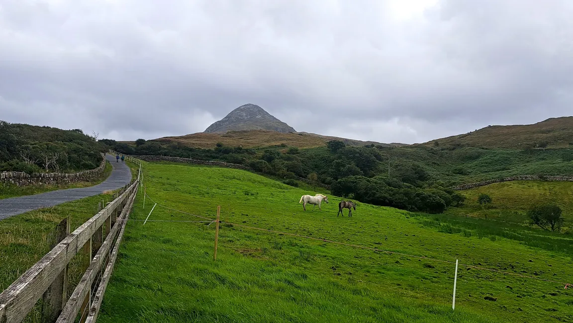 Park Narodowy Connemara
