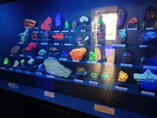 Muzeum Przyrodnicze Instytutu Systematyki i Ewolucji Zwierząt PAN w Krakowie