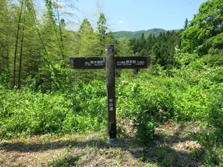 Yogawa Trail