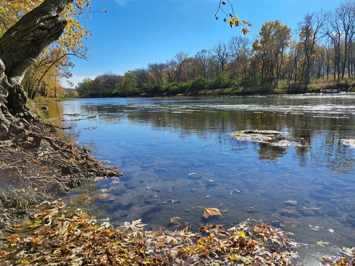 Kankakee River State Park