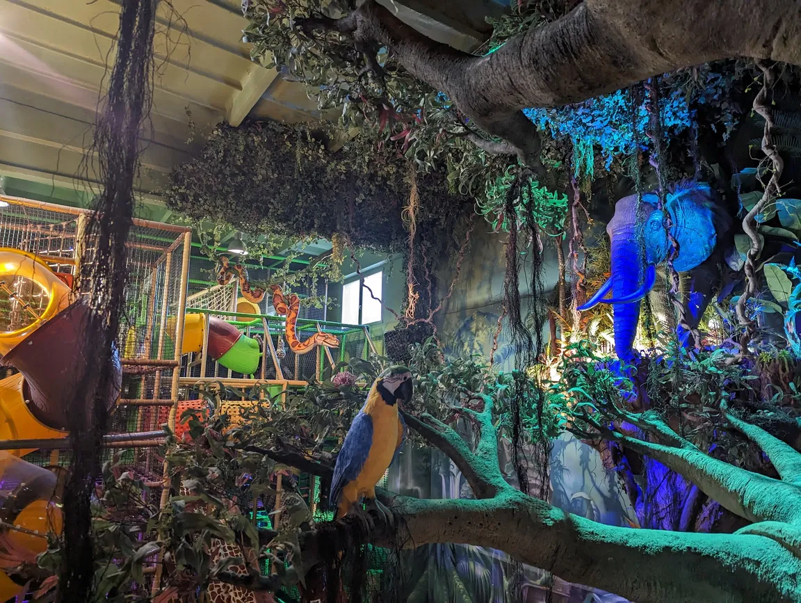 Jungle Park Rzeszów