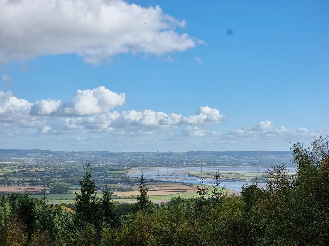 Blaize Bailey Viewpoint