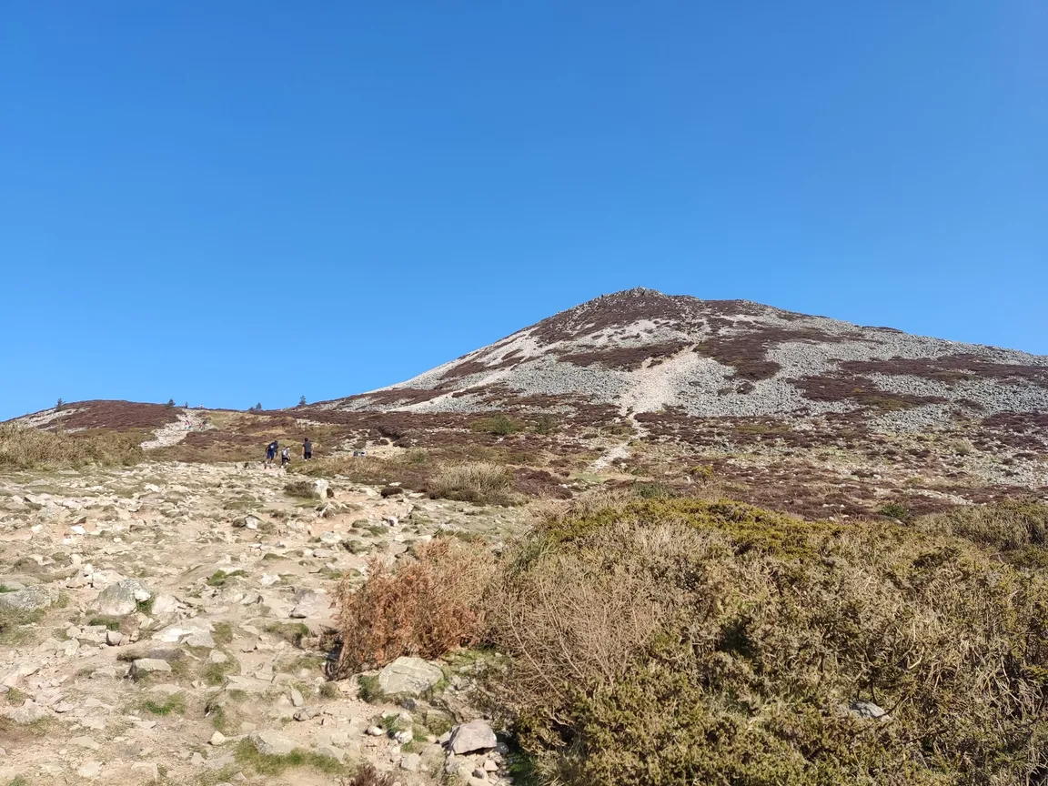 The Great Sugar Loaf