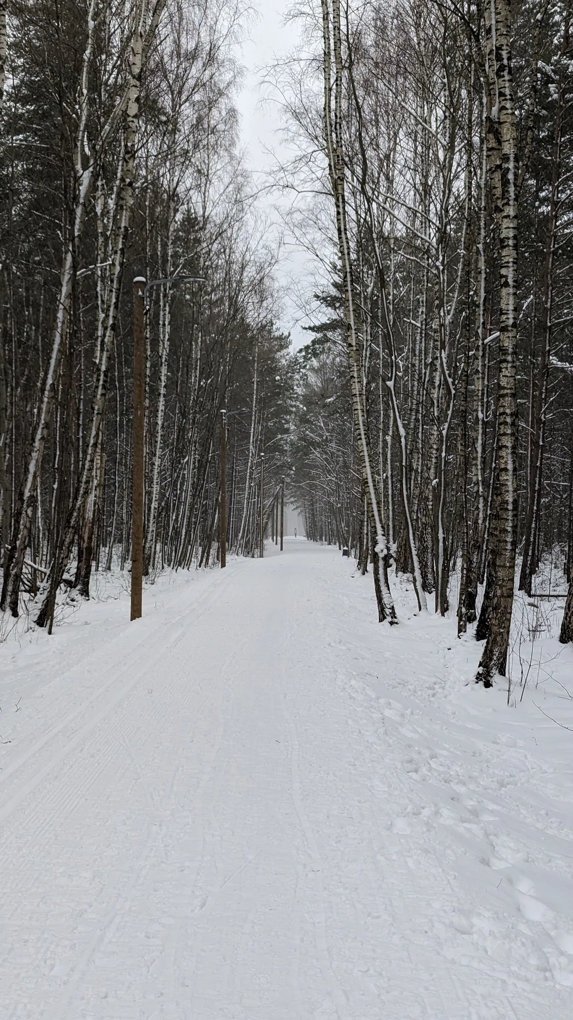Õismäe Raba Terviserada