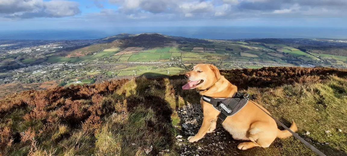 The Great Sugar Loaf