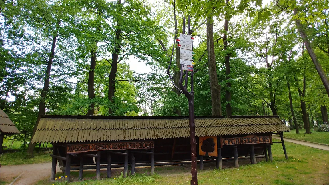Park Cygański Las w Bielsku-Białej