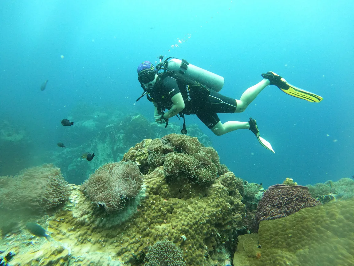 Silent Divers | Diving Koh Samui | PADI 5-Star Dive Center | PADI Courses & Diving Tours Koh Samui