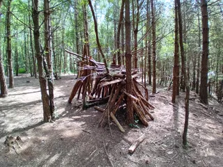 West Walk, Forest of Bere